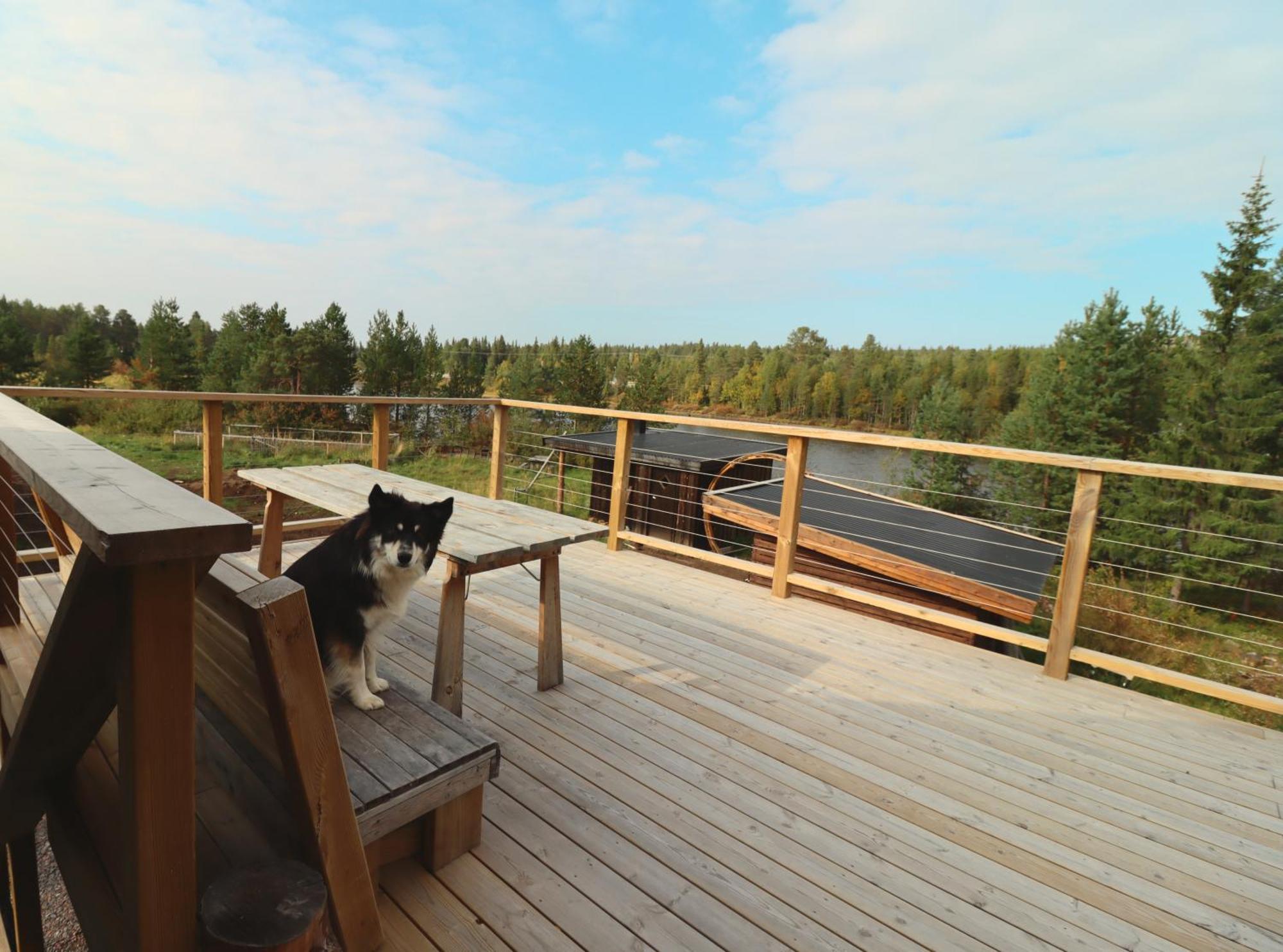 Cozy Cabin Styled Loft Кіруна Екстер'єр фото